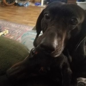 Come check out my closet!